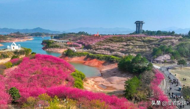 _千岛湖哪里看樱花_千岛湖樱花大道视频
