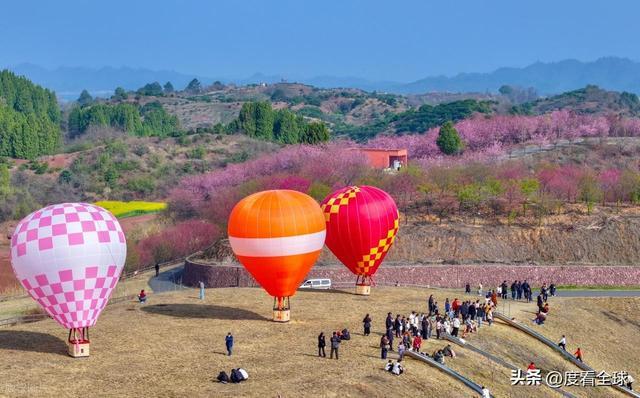 _千岛湖哪里看樱花_千岛湖樱花大道视频