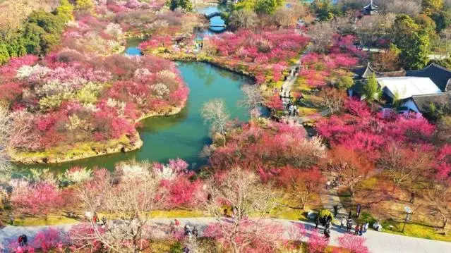 _来扬州，邂逅“梅”好春光_来扬州，邂逅“梅”好春光