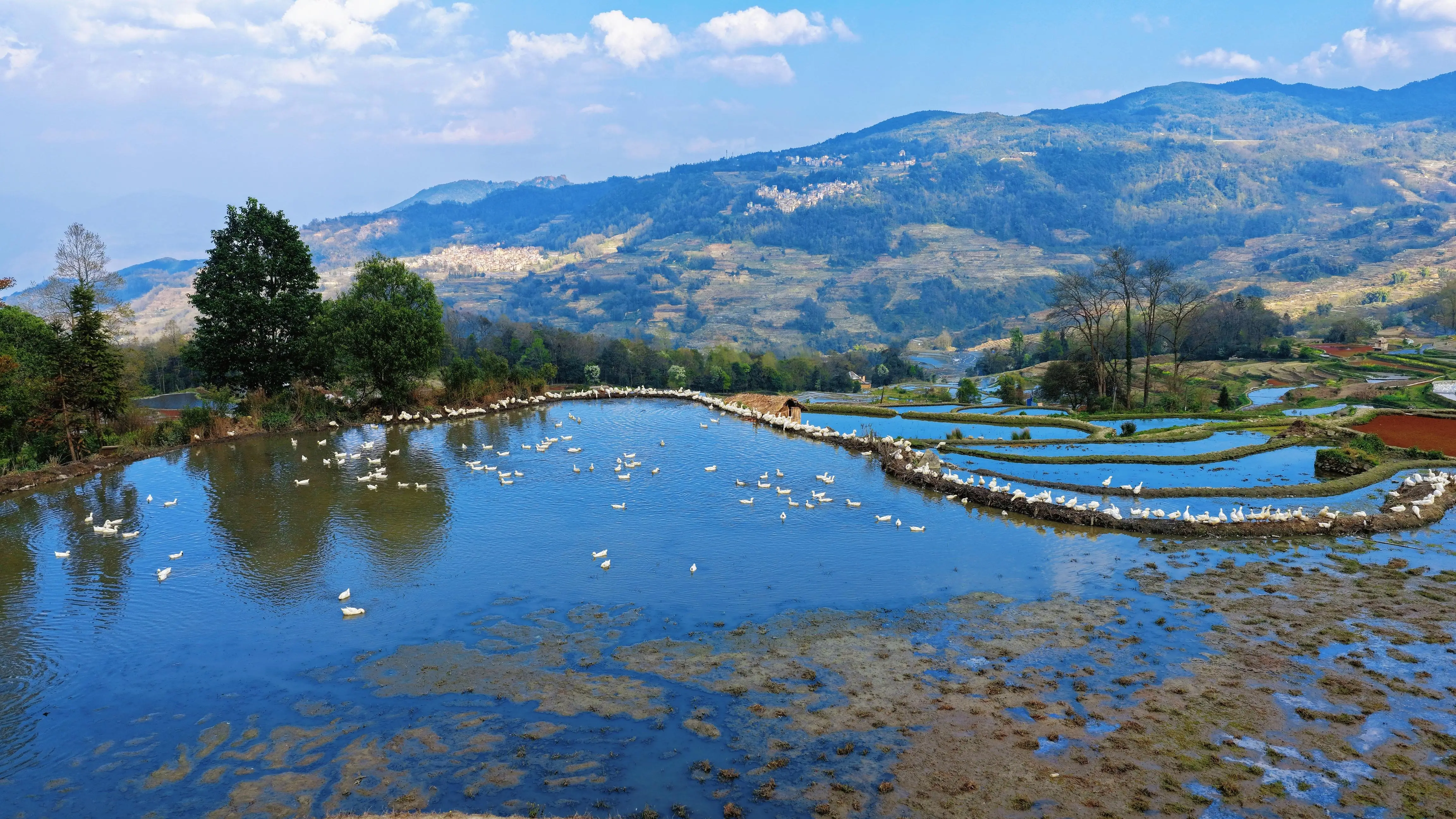世界遗产地春日限定 哈尼梯田水满繁花盛__世界遗产地春日限定 哈尼梯田水满繁花盛