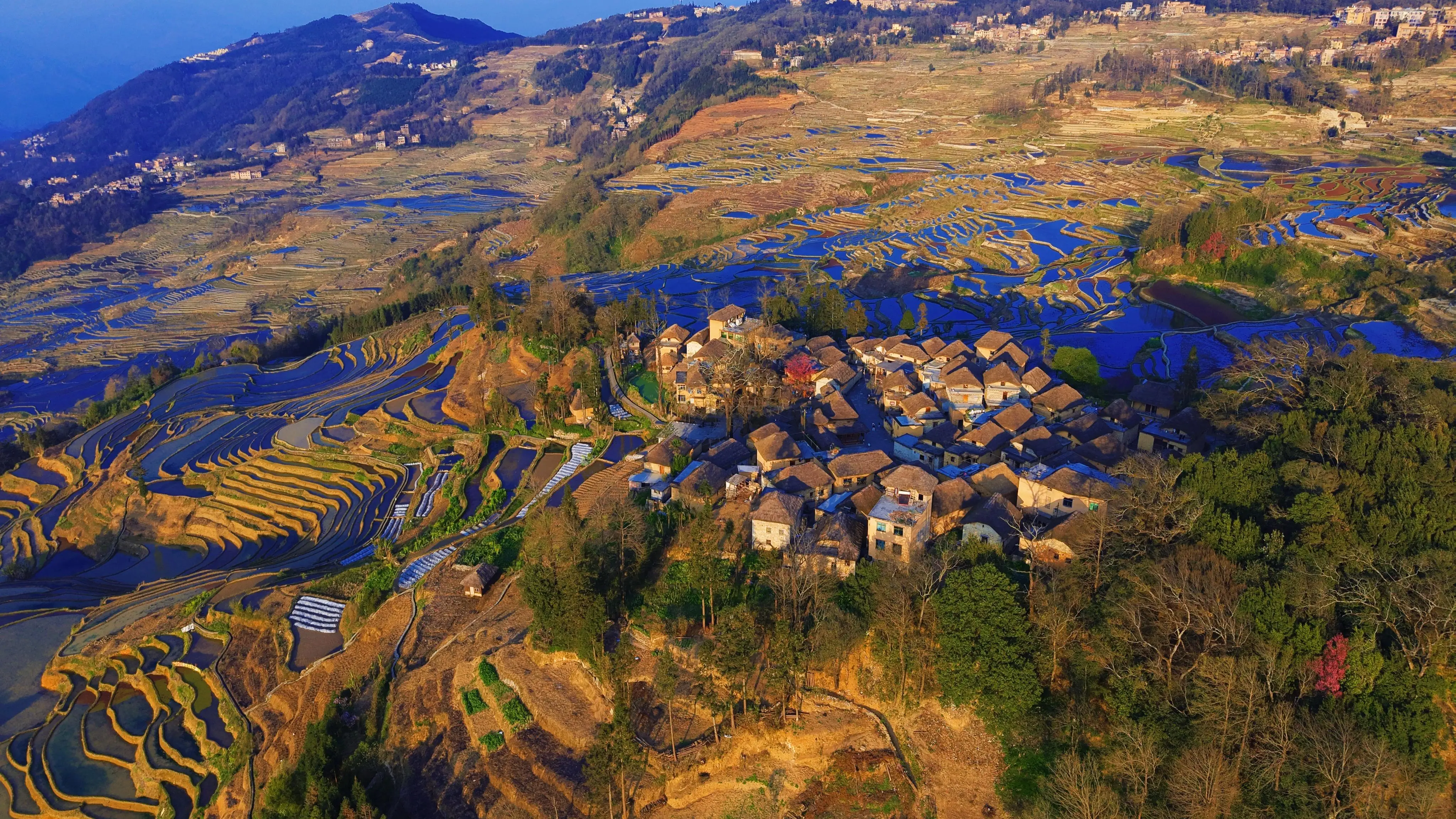 _世界遗产地春日限定 哈尼梯田水满繁花盛_世界遗产地春日限定 哈尼梯田水满繁花盛