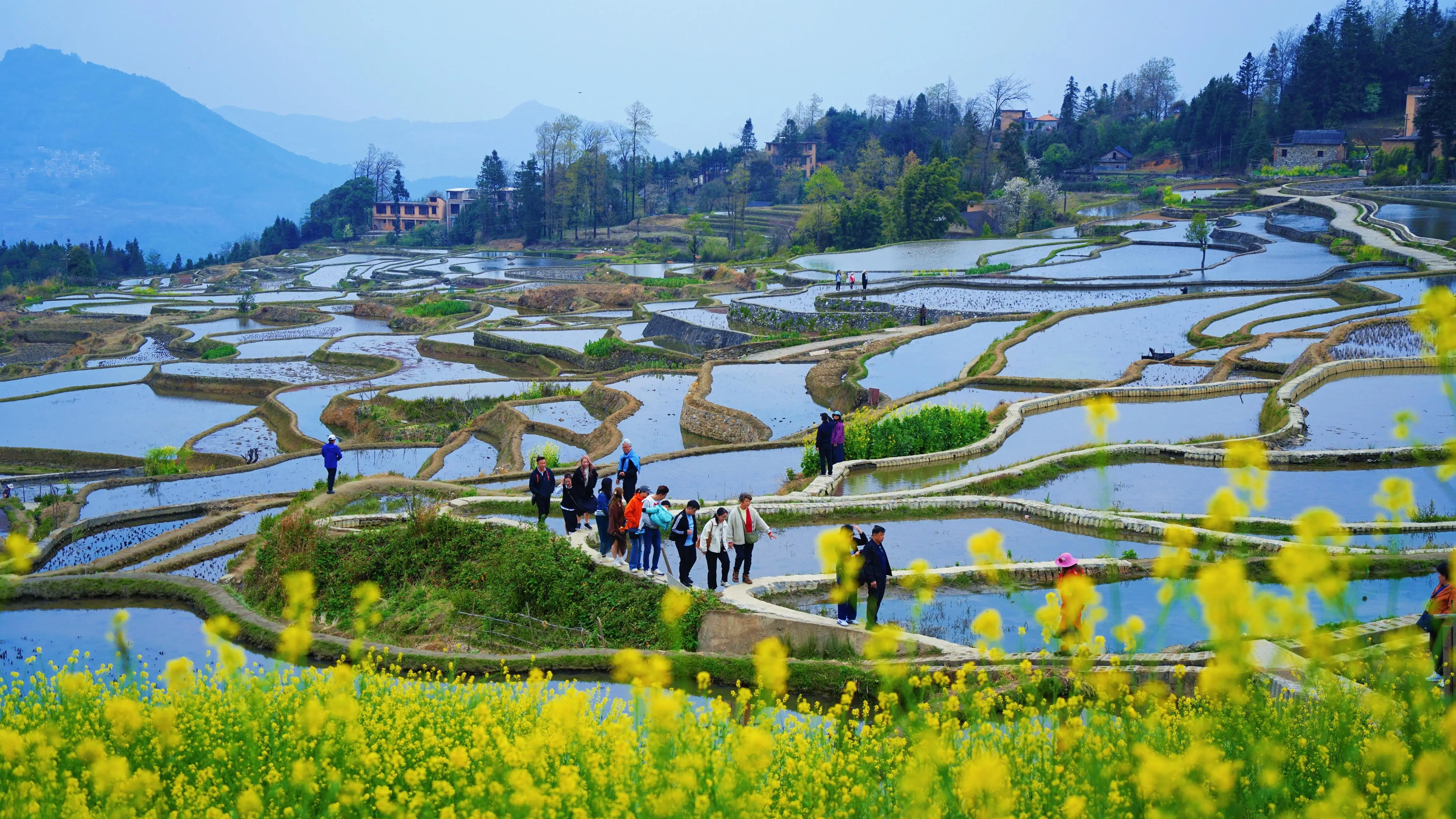 世界遗产地春日限定 哈尼梯田水满繁花盛_世界遗产地春日限定 哈尼梯田水满繁花盛_