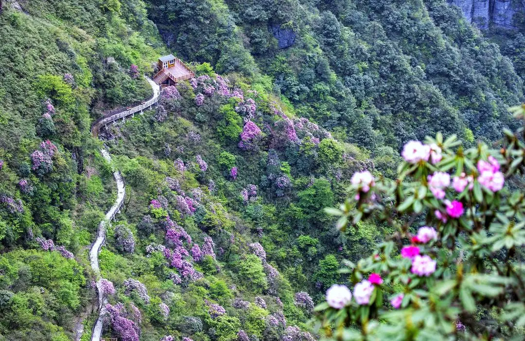 _峨眉山上二姐妹是什么意思_峨眉山的姊妹山