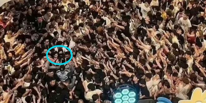 _光线小花_由于有光线什么到我们的眼睛