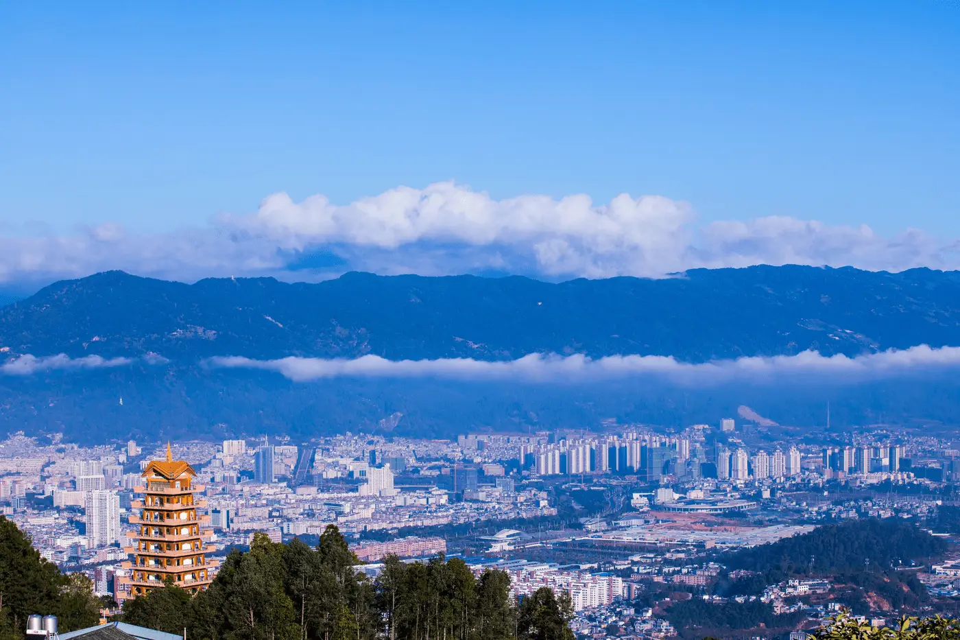 旅居云南追梦人·我的旅创日记④丨冷东：从一杯茶开始，我在临沧找到了归处_旅居云南追梦人·我的旅创日记④丨冷东：从一杯茶开始，我在临沧找到了归处_