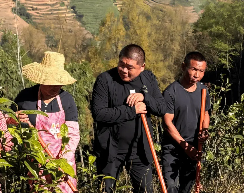 _旅居云南追梦人·我的旅创日记④丨冷东：从一杯茶开始，我在临沧找到了归处_旅居云南追梦人·我的旅创日记④丨冷东：从一杯茶开始，我在临沧找到了归处