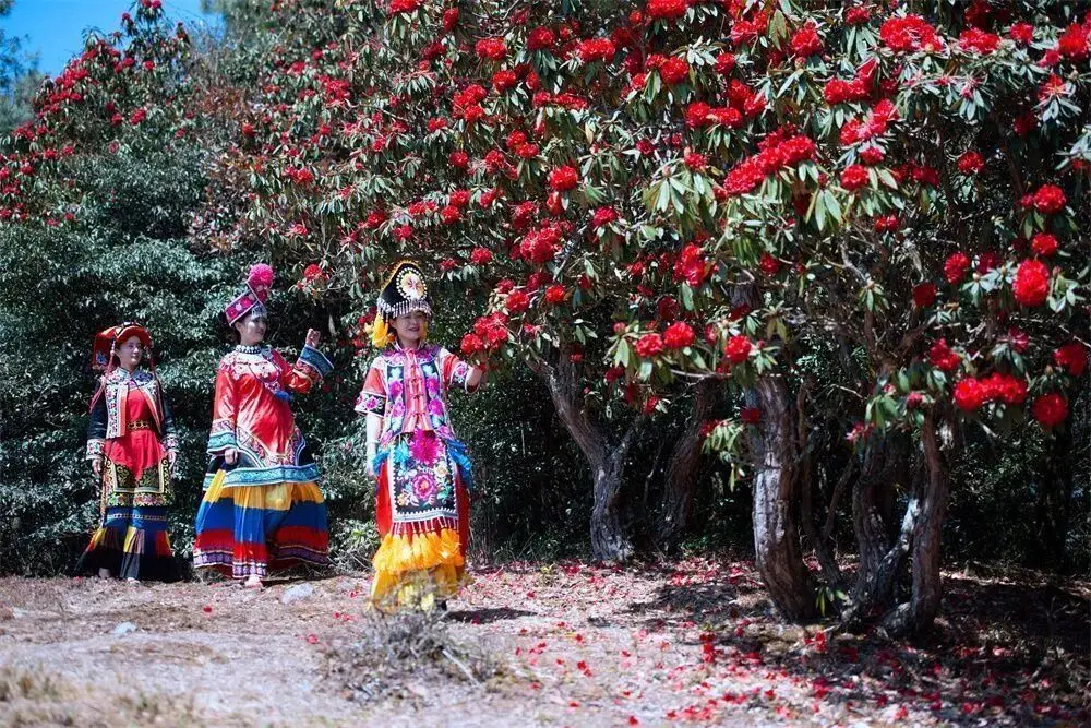 楚雄野营处_楚雄周边露营攻略_