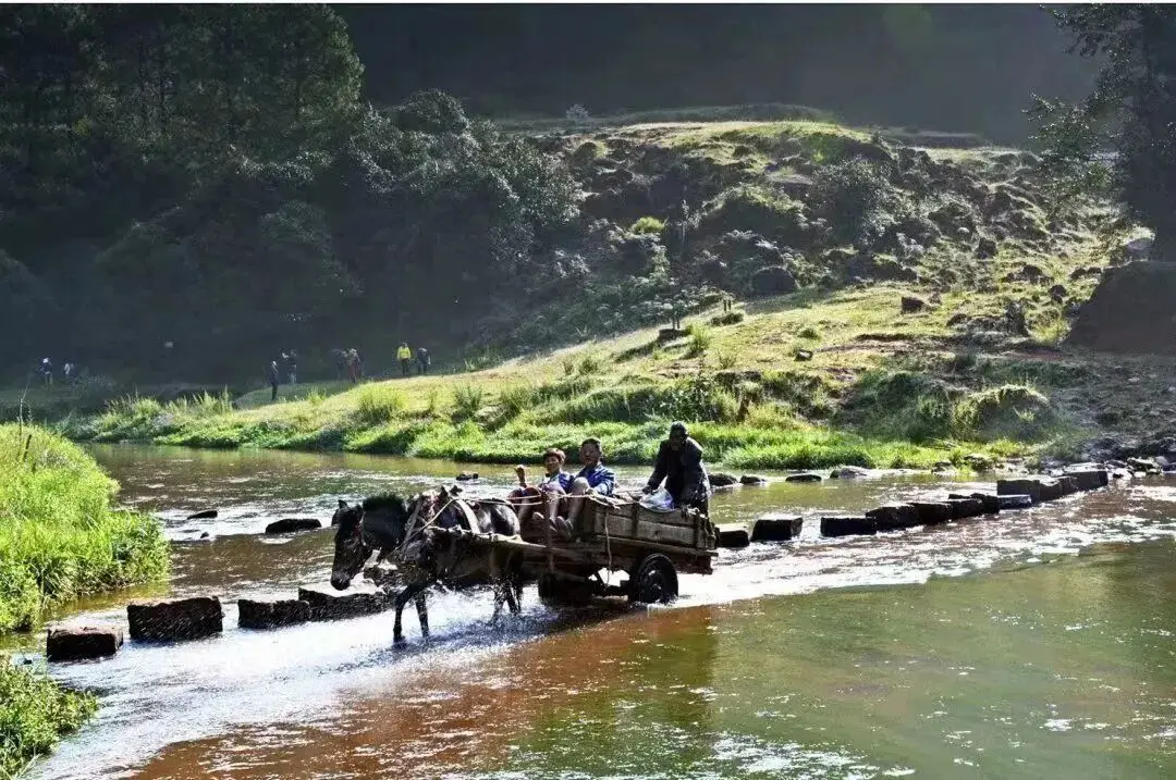 楚雄野营处_楚雄周边露营攻略_