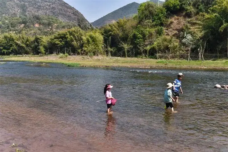 楚雄周边露营攻略__楚雄野营处