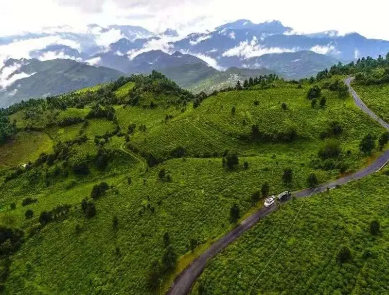 楚雄周边露营攻略__楚雄野营处