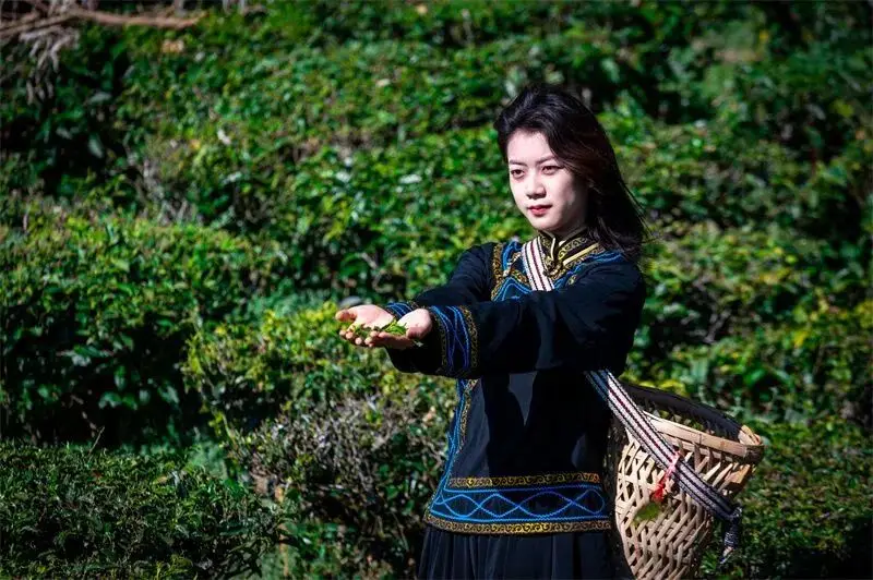 _楚雄野营处_楚雄周边露营攻略