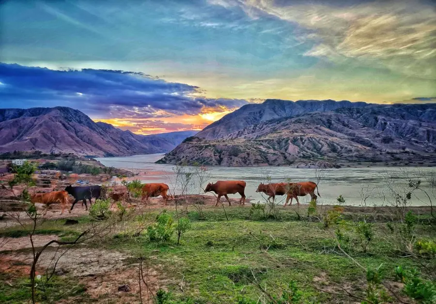 楚雄周边露营攻略_楚雄野营处_