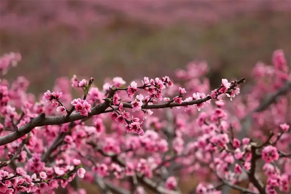 楚雄野营处__楚雄周边露营攻略