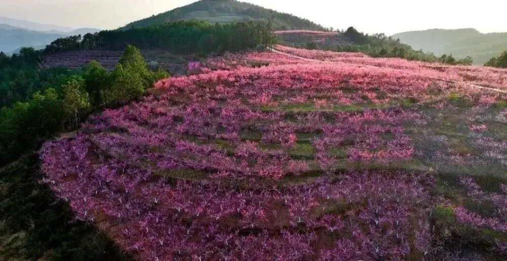 _楚雄野营处_楚雄周边露营攻略