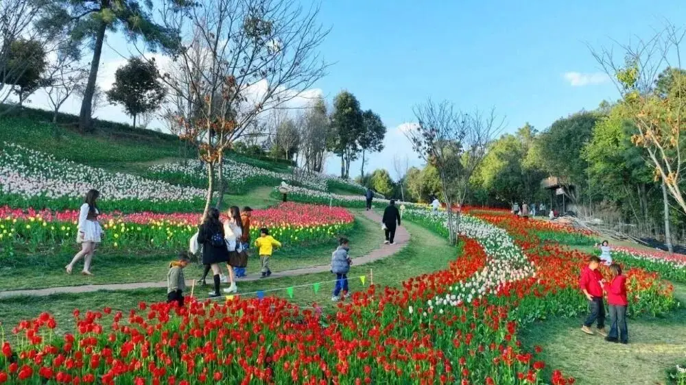 楚雄周边露营攻略_楚雄野营处_