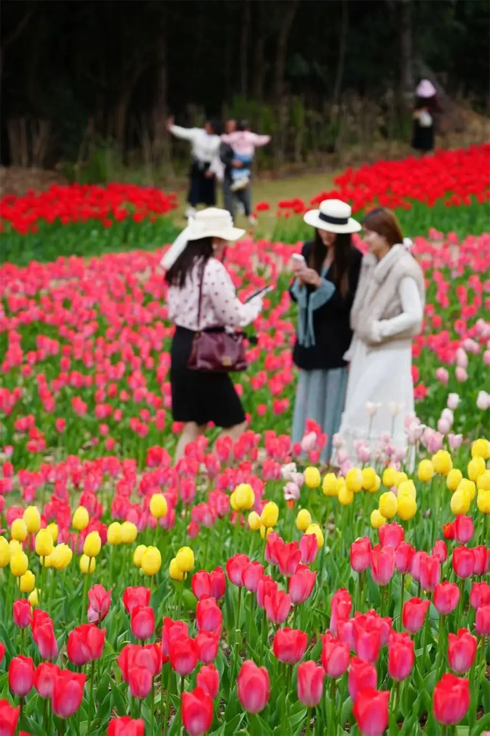 楚雄野营处__楚雄周边露营攻略