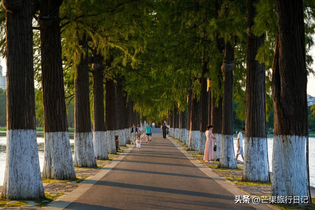 湖北中部地区崛起_中部崛起湖北以武汉为中心_