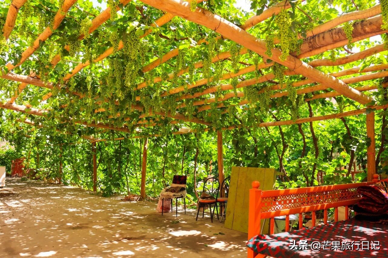 _昆明方正小学_自己做的韩式泡菜可以放多久