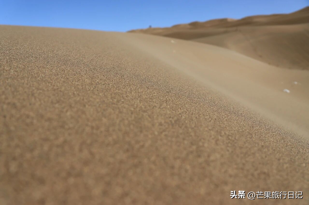 自己做的韩式泡菜可以放多久__昆明方正小学