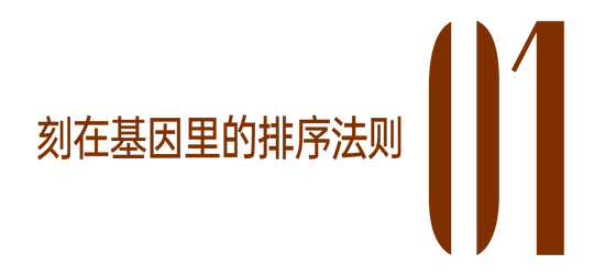 _跟着阿育娅一起，三步尝试做自己的“大女主”_跟着阿育娅一起，三步尝试做自己的“大女主”