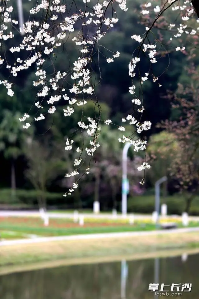 _长沙生态园好玩吗_长沙市生态园林公园门票