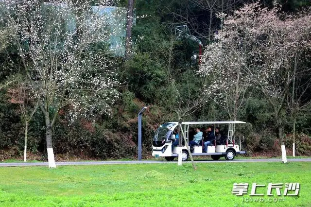 _长沙生态园好玩吗_长沙市生态园林公园门票