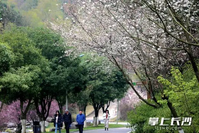_长沙生态园好玩吗_长沙市生态园林公园门票