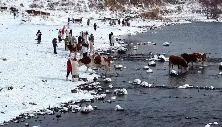 2021两会关于旅游_2020全国两会关于旅游_