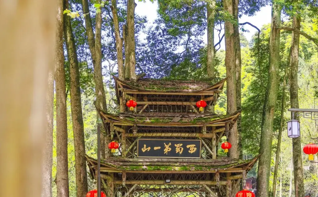 青城山的游记_青城山之旅游记_