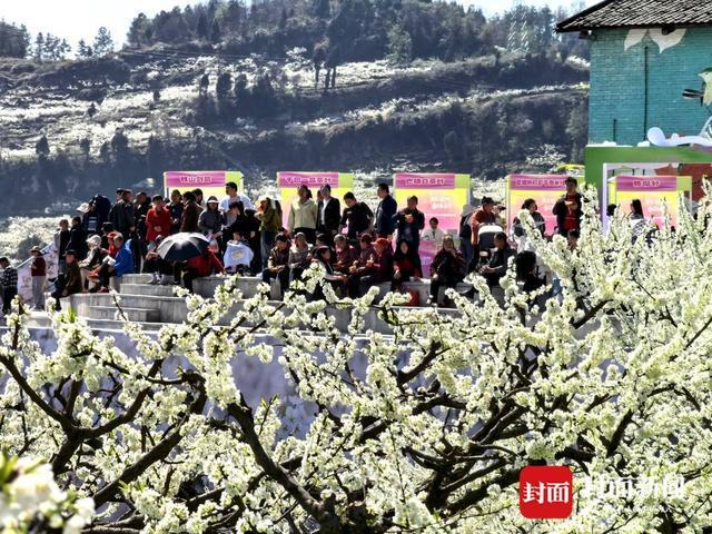 农旅融合发展思路__农旅融合产业调研文章