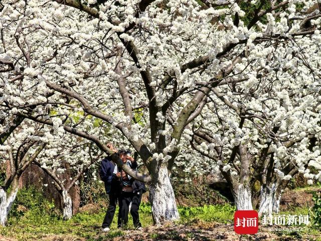 农旅融合发展思路__农旅融合产业调研文章
