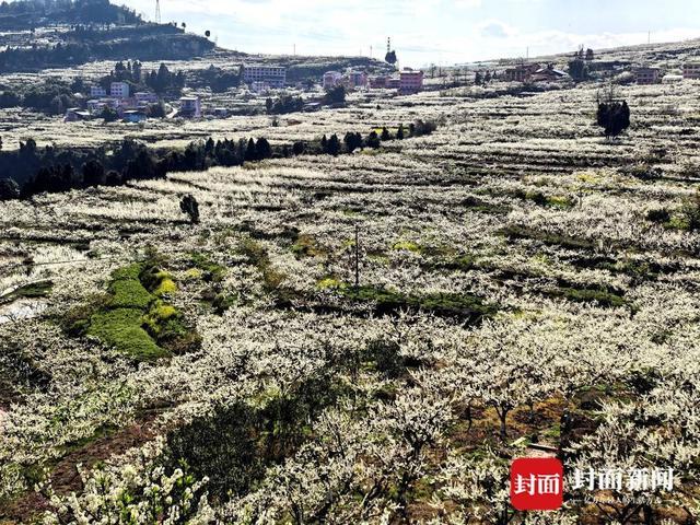 农旅融合发展思路__农旅融合产业调研文章