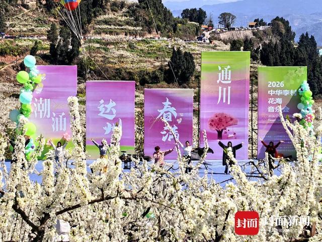 农旅融合产业调研文章_农旅融合发展思路_