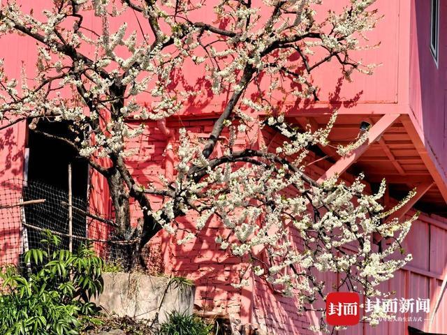 农旅融合发展思路__农旅融合产业调研文章