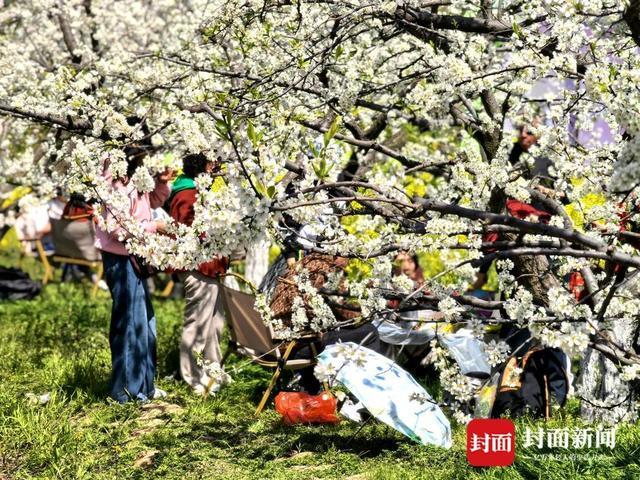 农旅融合发展思路_农旅融合产业调研文章_