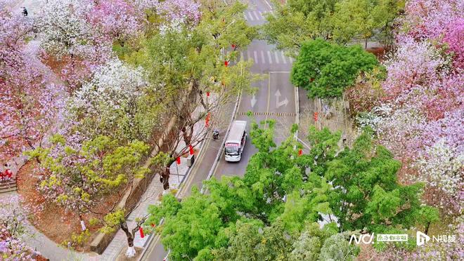 公园里的CBD！解码生态、经济同频跃升的“天河范式”