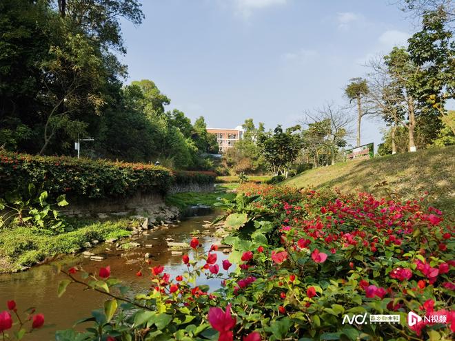 公园里的CBD！解码生态、经济同频跃升的“天河范式”_公园里的CBD！解码生态、经济同频跃升的“天河范式”_