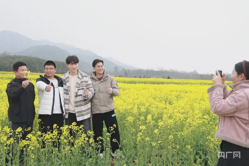 庐江：春日赏花人气旺 乡村文旅再升温