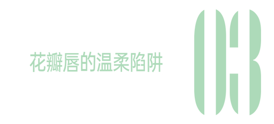_新年妆容_妆容模板