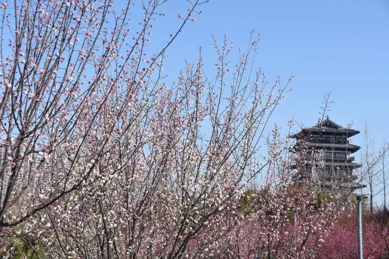 郑州踏春好去处__郑州春游踏青场地推荐