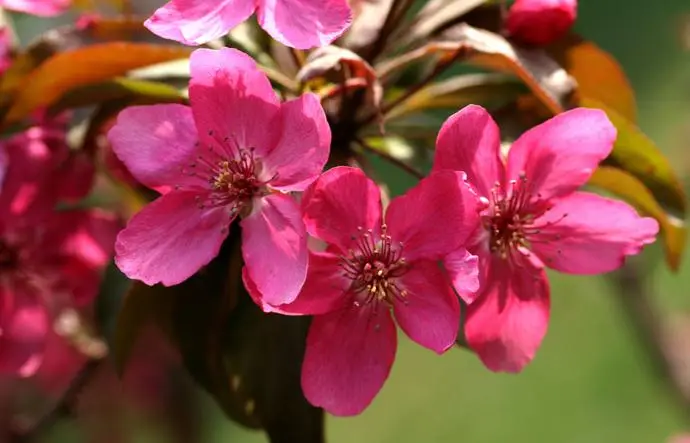 郑州春游踏青场地推荐__郑州踏春好去处