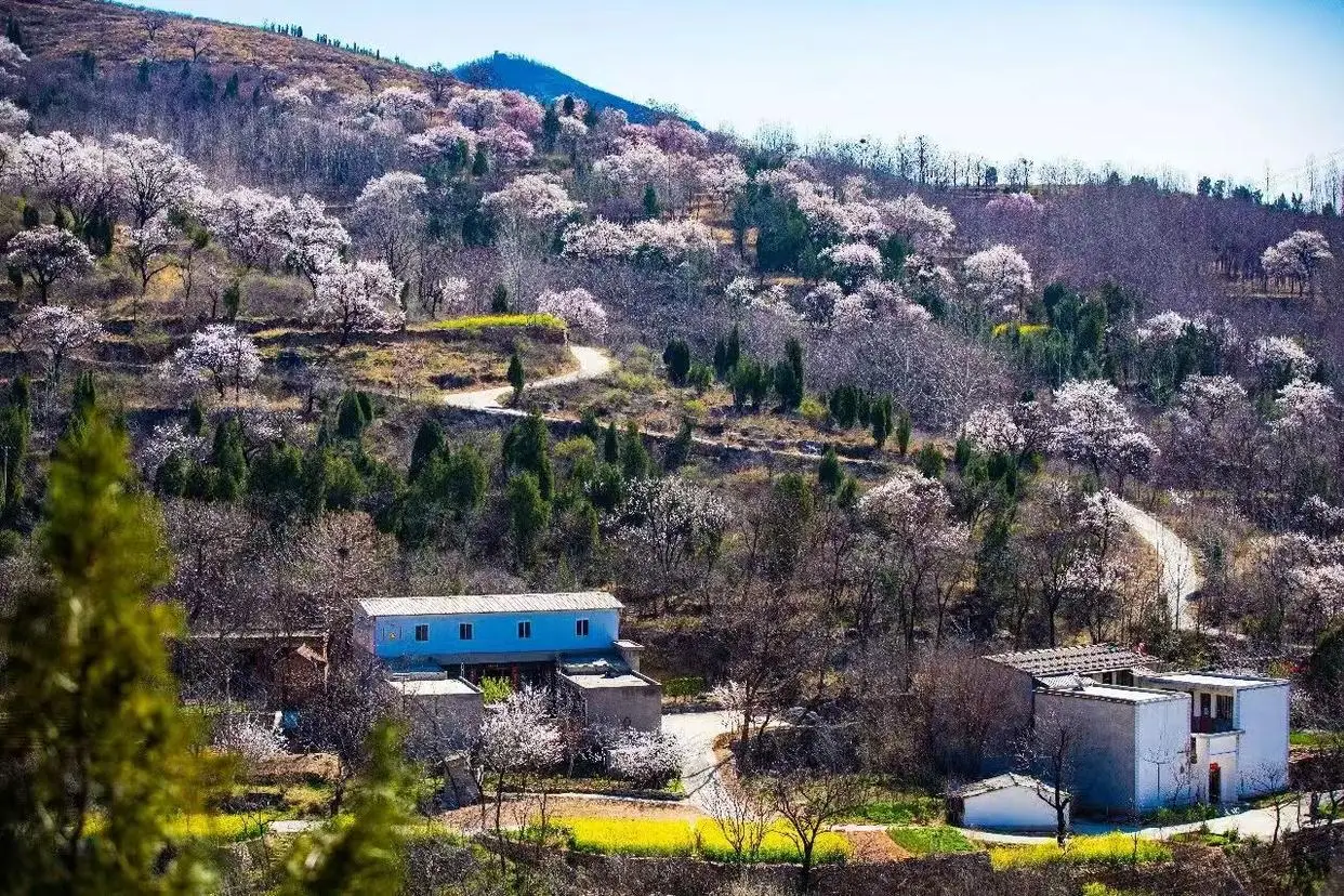 _郑州春游踏青场地推荐_郑州踏春好去处