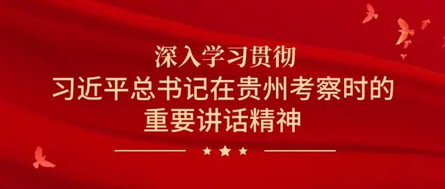 打造油菜花海__畅游油菜花海