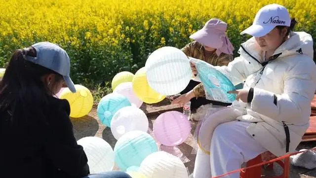 打造油菜花海__畅游油菜花海