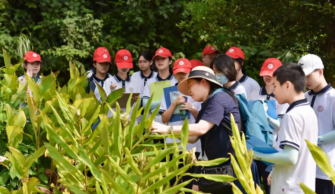 森林氧吧介绍_森林氧吧导览图_