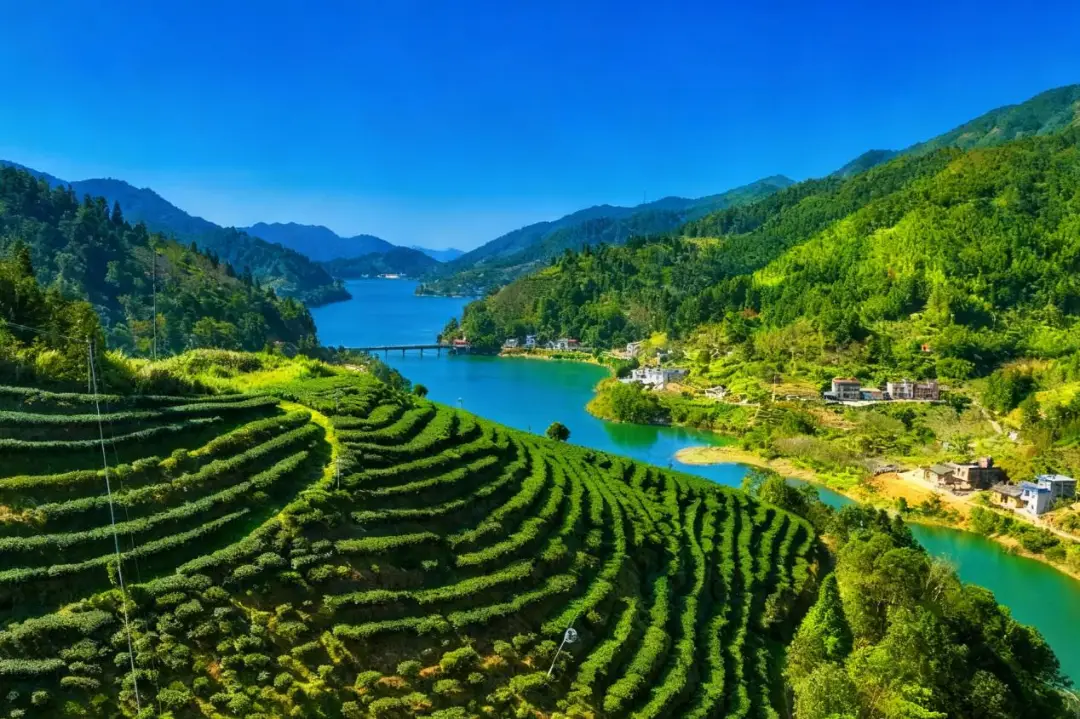 森林氧吧导览图_森林氧吧介绍_