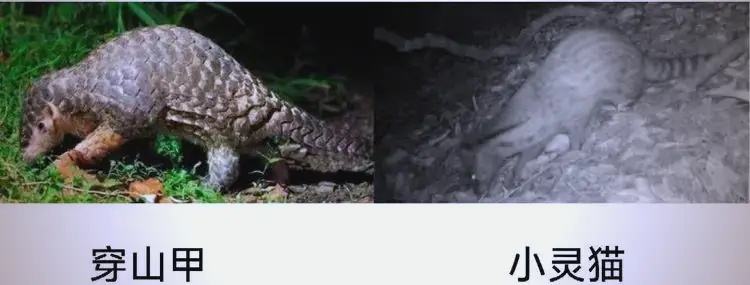 _森林氧吧介绍_森林氧吧导览图