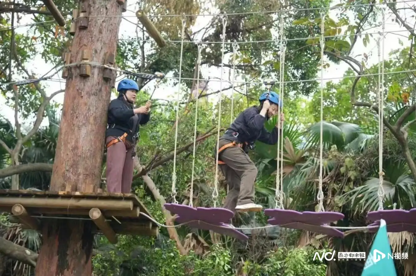 _华南首店！瑞士高空探险项目登陆南沙，“家门口”解锁国际范_华南首店！瑞士高空探险项目登陆南沙，“家门口”解锁国际范
