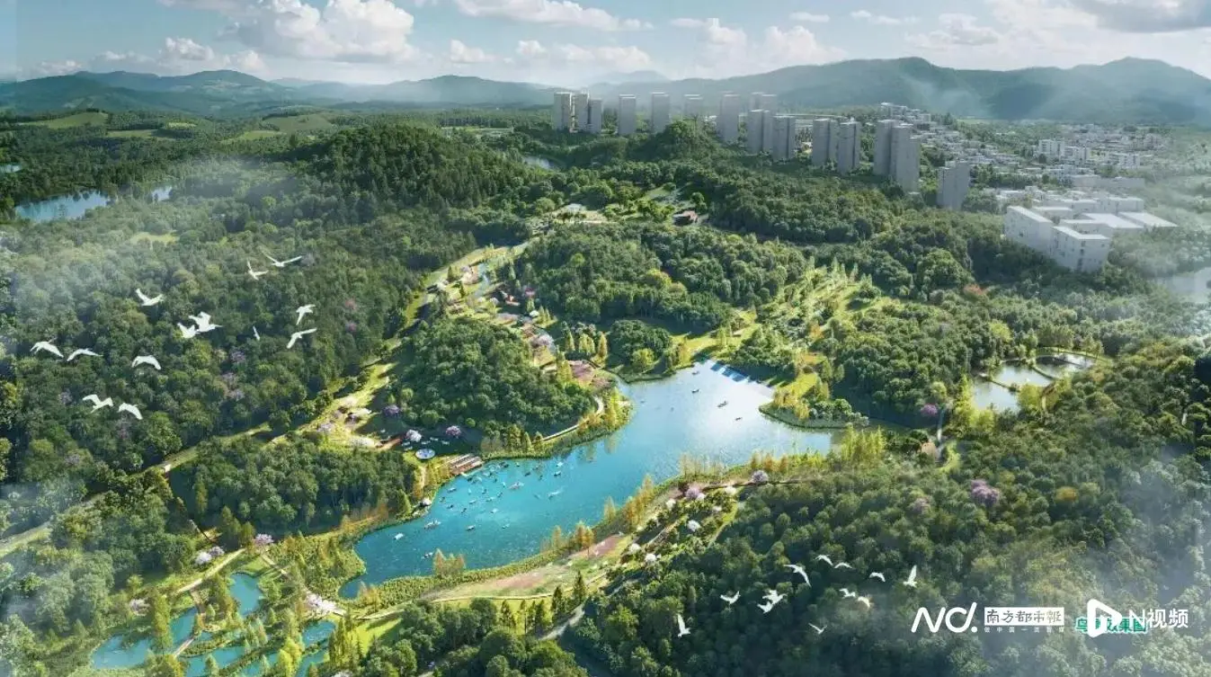 _华南首店！瑞士高空探险项目登陆南沙，“家门口”解锁国际范_华南首店！瑞士高空探险项目登陆南沙，“家门口”解锁国际范