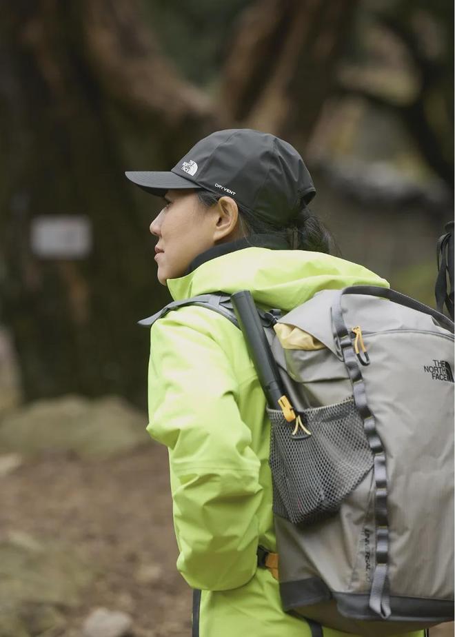 山中百科_山中打一数字_